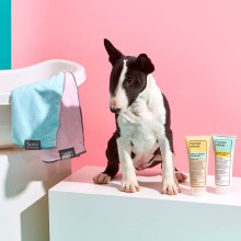 puppy grooming products