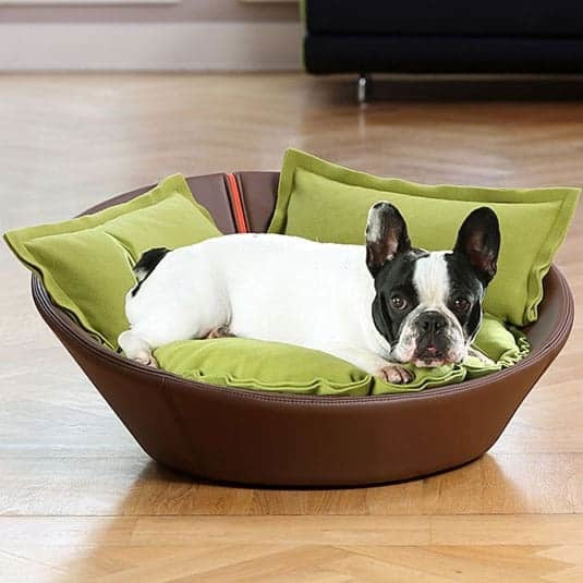 Luxury leather dog beds at Chelsea Dogs 