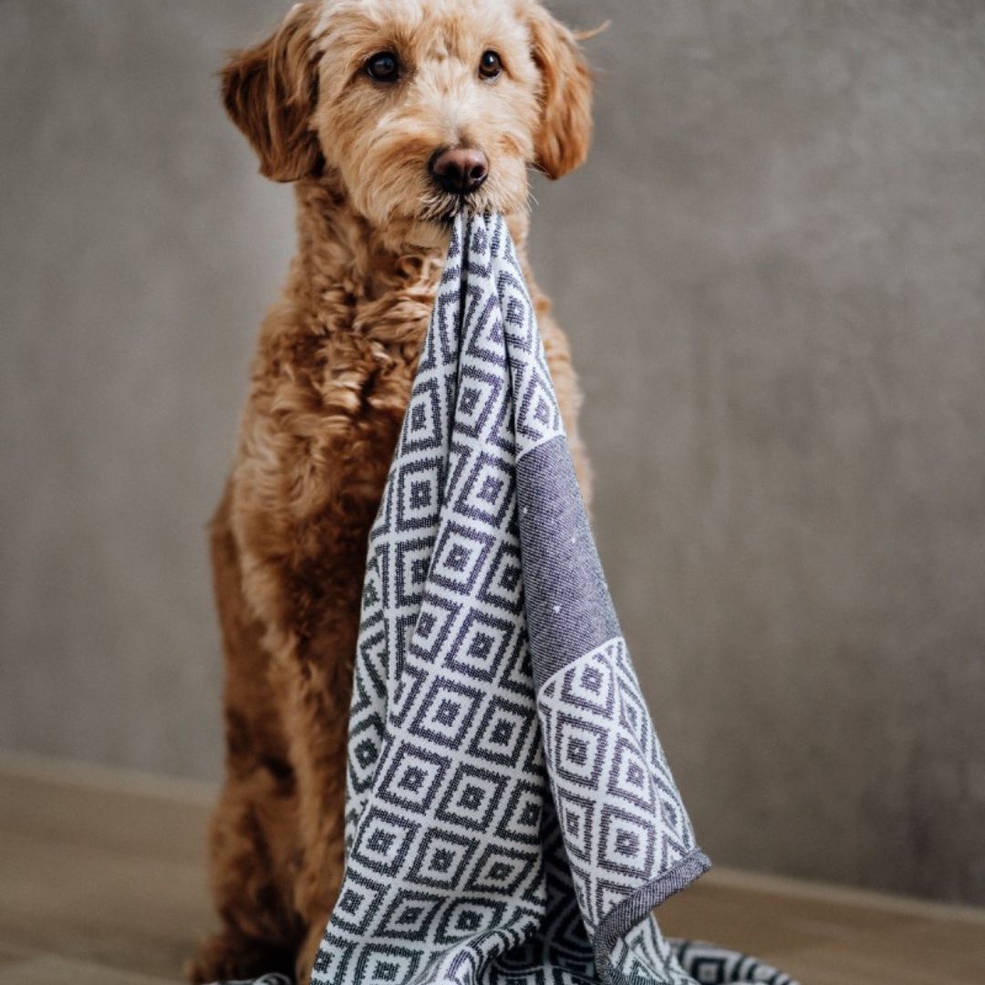 Stunning Personalized Dog Crate Towels image