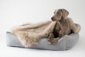 Luxury Dog Beds UK