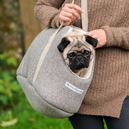 Dog Carriers