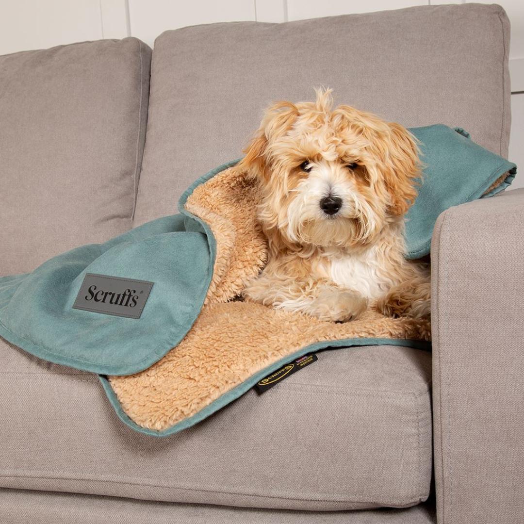 luxury puppy blankets