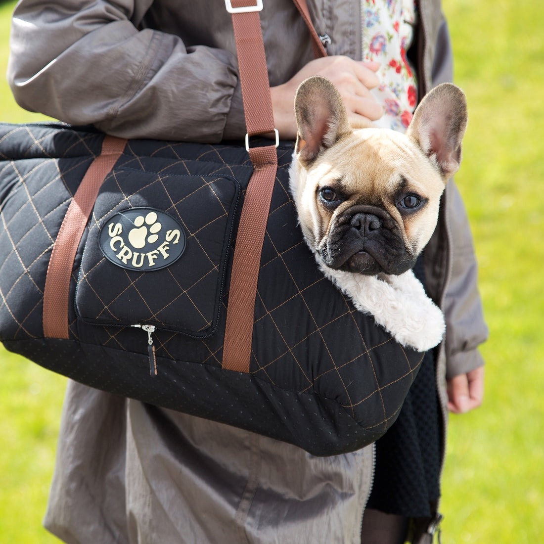 Dog Travel Accessories