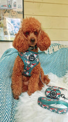 Jolly Bear Christmas Dog Harness