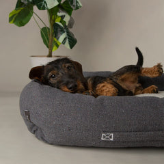 100% Recycled Eden Box Dog Bed - Charcoal