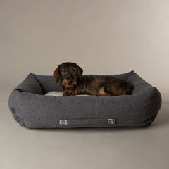 100% Recycled Eden Box Dog Bed - Charcoal