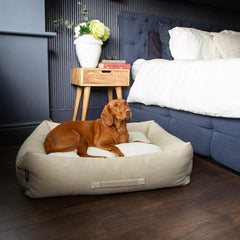 100% Recycled Eden Box Dog Bed - Cream