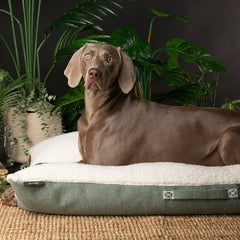 100% Recycled Eden Pillow Dog Bed - Sage Green