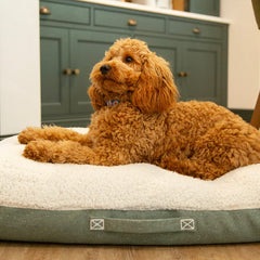 100% Recycled Eden Pillow Dog Bed - Sage Green
