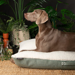 100% Recycled Eden Pillow Dog Bed - Sage Green