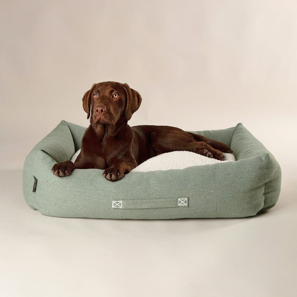 100% Recycled Eden Box Dog Bed - Sage Green Scruffs