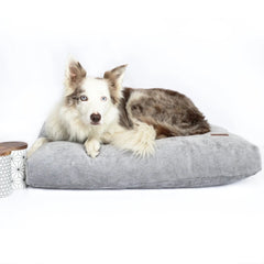 Personalised Opulence Scandi Grey Luxury Dog Bed Set by Miaboo