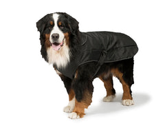 2-in-1 Waterproof Harness Dog Coat by Danish Design