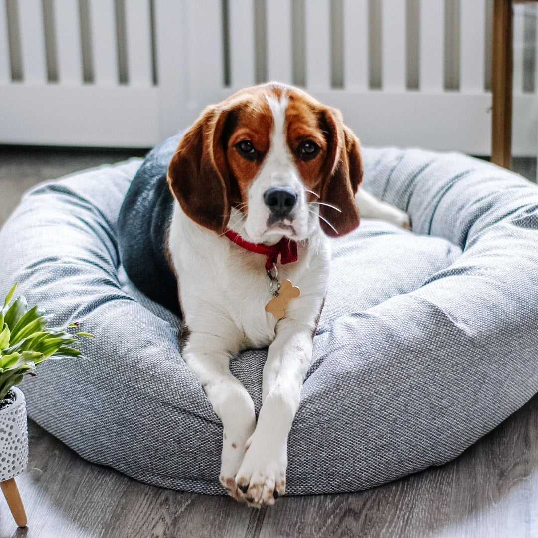 Luxury Misty Grey Weave Donut Dog Bed | Miaboo