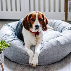 Luxury Misty Grey Weave Donut Dog Bed | Miaboo