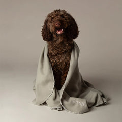 Expedition Fleece Pet Blanket - Storm Grey