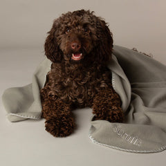 Expedition Fleece Pet Blanket - Storm Grey