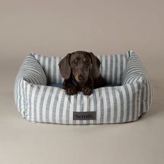 Coastal Box Dog Bed - Blue