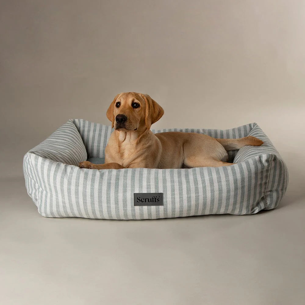 Coastal Box Dog Bed - Green