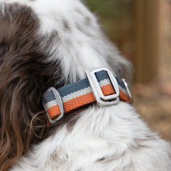 All-Terrain Canvas Dog Collar - Navy / Amber