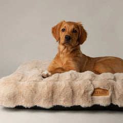 Alpine Mattress Dog Bed - Champagne Faux Fur