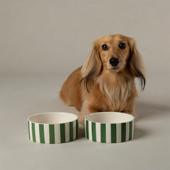 Amalfi Stripe 2 Piece Dog Food & Water Bowl Set - Green