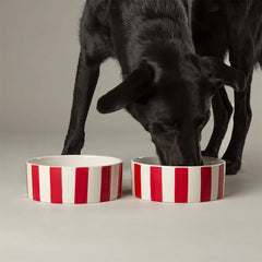 Amalfi Stripe 2 Piece Dog Food & Water Bowl Set - Red