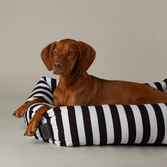 Amalfi Striped Box Bed - Black