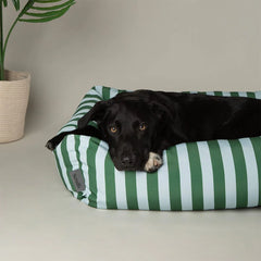 Amalfi Striped Box Bed - Green