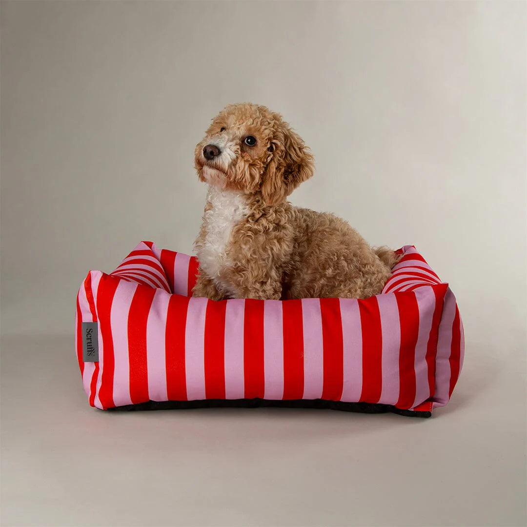 Amalfi Striped Box Bed - Pink