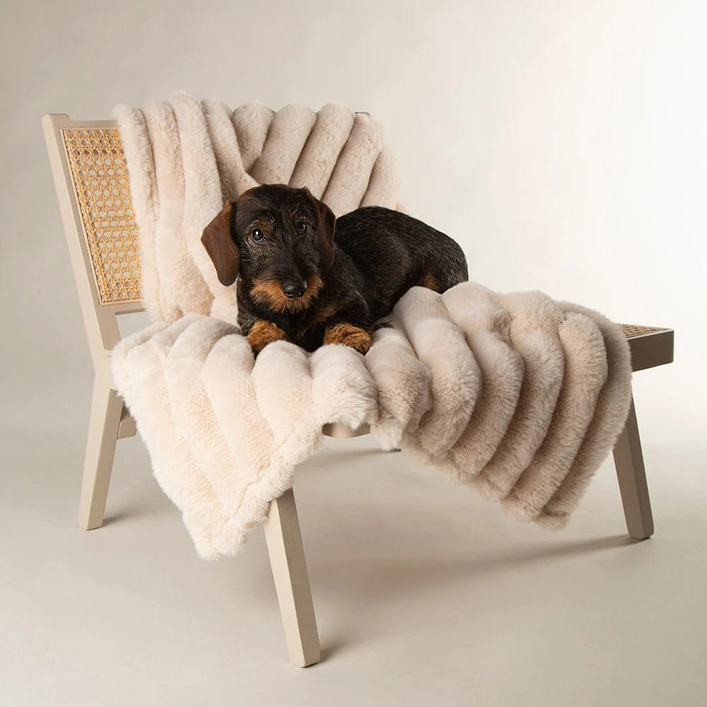 Aspen Pet Blanket - Cream
