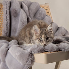 Aspen Pet Blanket - Grey