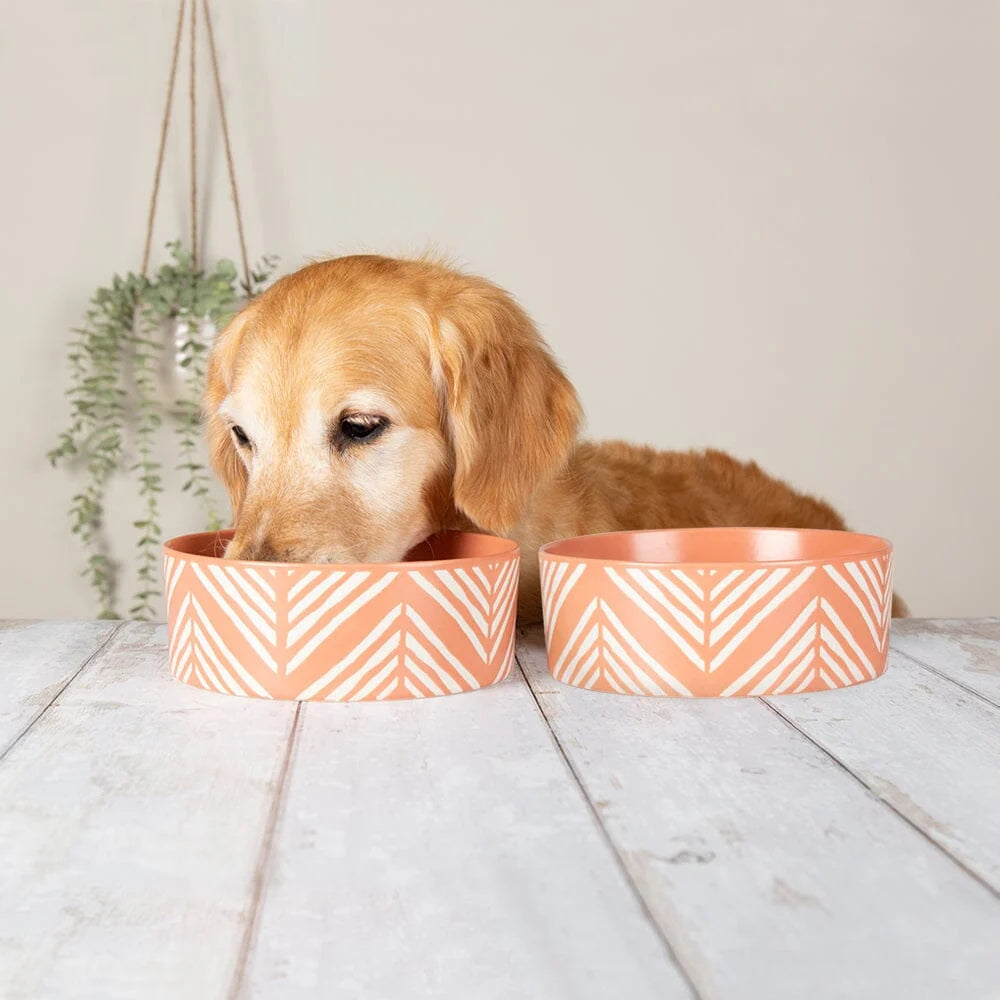 Aztec 2 Piece Dog Food & Water Bowl Set - Terracotta Orange