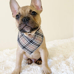 Barkberry Plaid Dog Bandana