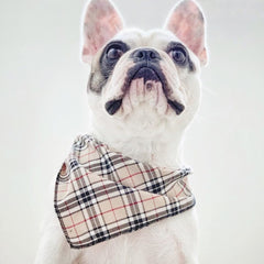 Barkberry Plaid Dog Bandana
