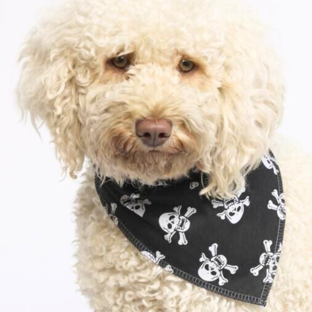 Black Skulls Dog Bandana