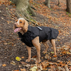 Black 3 in 1 Waterproof Dog Coat by Danish Design