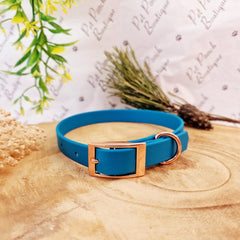 Blue Lagoon Biothane Vegan Dog Collar