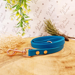 Blue Lagoon Biothane Vegan Dog Lead