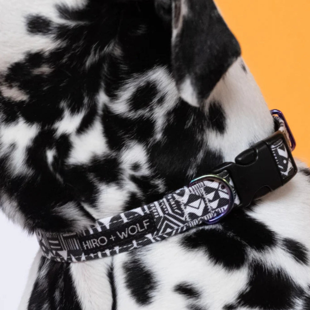 Bow Wow Haus Adjustable Dog Collar by Hiro & Wolf