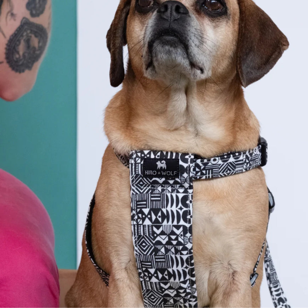 Bow Wow Haus Dog Harness by Hiro and Wolf