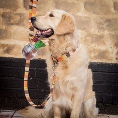 Silver Leather Circle Poo Bag Pouch