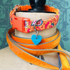 Burwash Country Corduroy Dog Collar and Marmalade Orange Velvet Lead Set