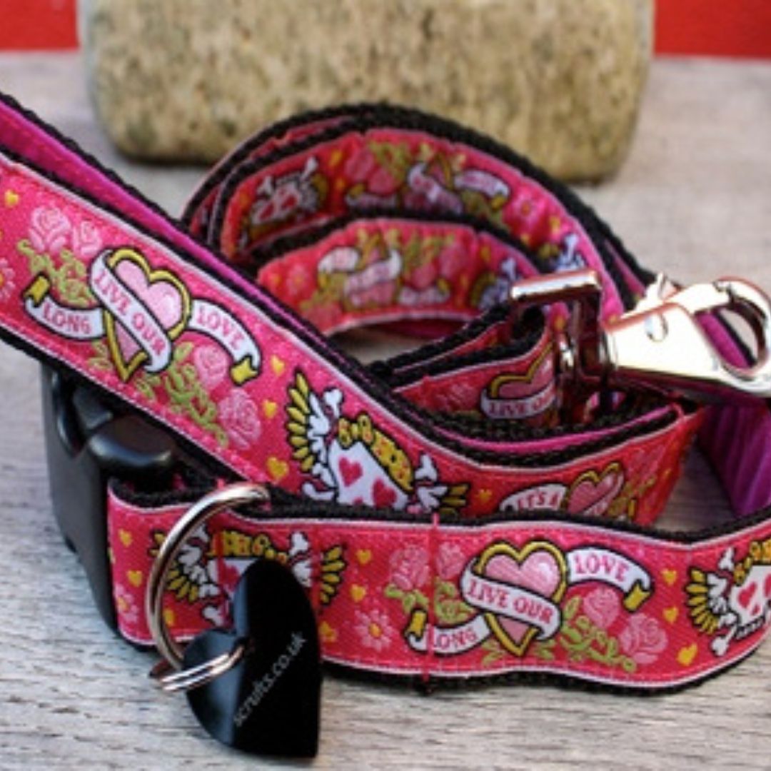 Captain Gracie Designer Dog Collar and Lead Set