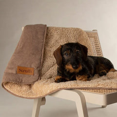 Caramel Brown Snuggle Pet Blanket
