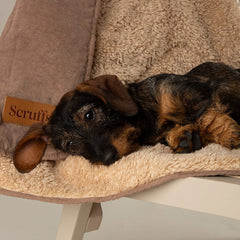 Caramel Brown Snuggle Pet Blanket