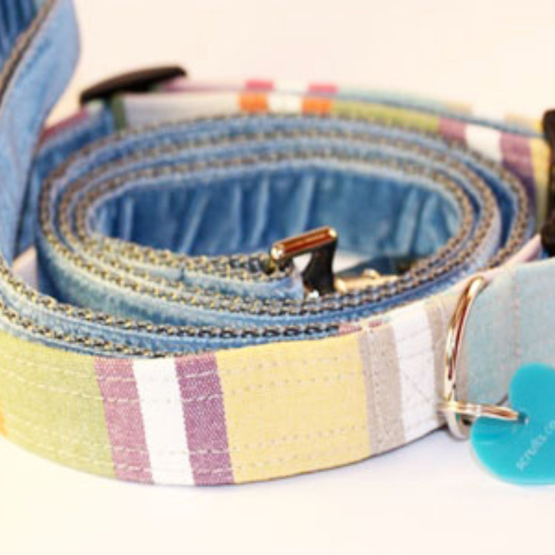 Cassata Water Repellent Dog Collar and Velvet Lead Set