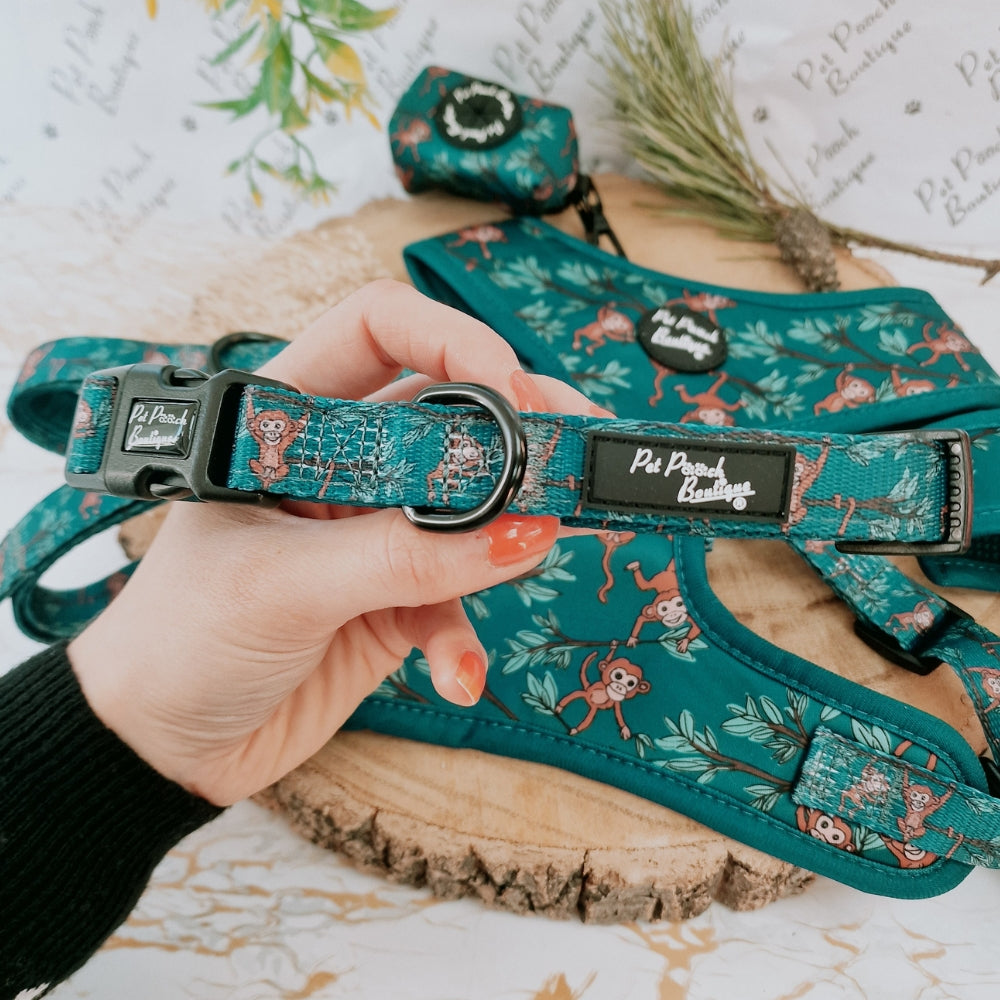 Cheeky Monkey Dog Collar