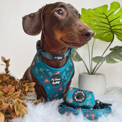 Cheeky Monkey Dog Harness