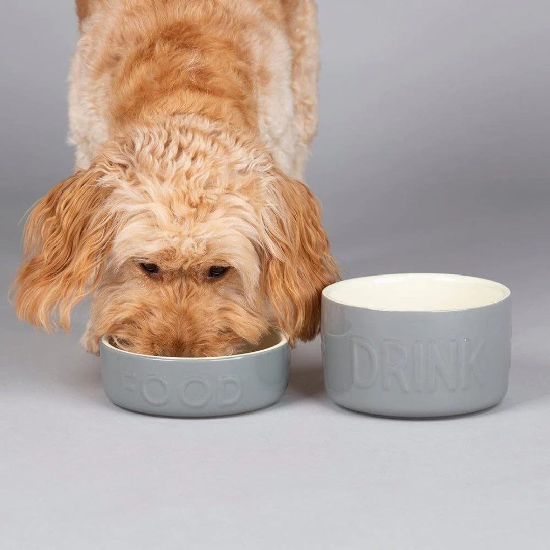 Classic 2 Piece Dog Food & Water Bowl Set - Grey